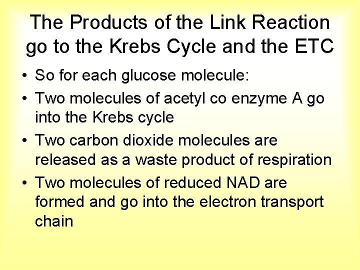 The Products of the Link Reaction go to the Krebs Cycle and the ETC