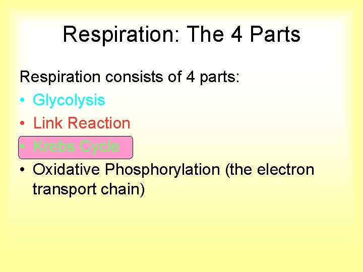 Respiration: The 4 Parts Respiration consists of 4 parts: • Glycolysis • Link Reaction