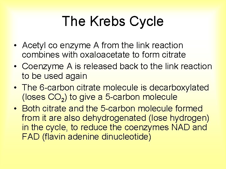The Krebs Cycle • Acetyl co enzyme A from the link reaction combines with