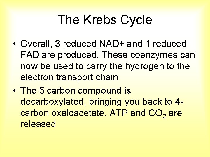 The Krebs Cycle • Overall, 3 reduced NAD+ and 1 reduced FAD are produced.