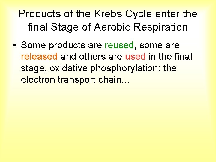 Products of the Krebs Cycle enter the final Stage of Aerobic Respiration • Some