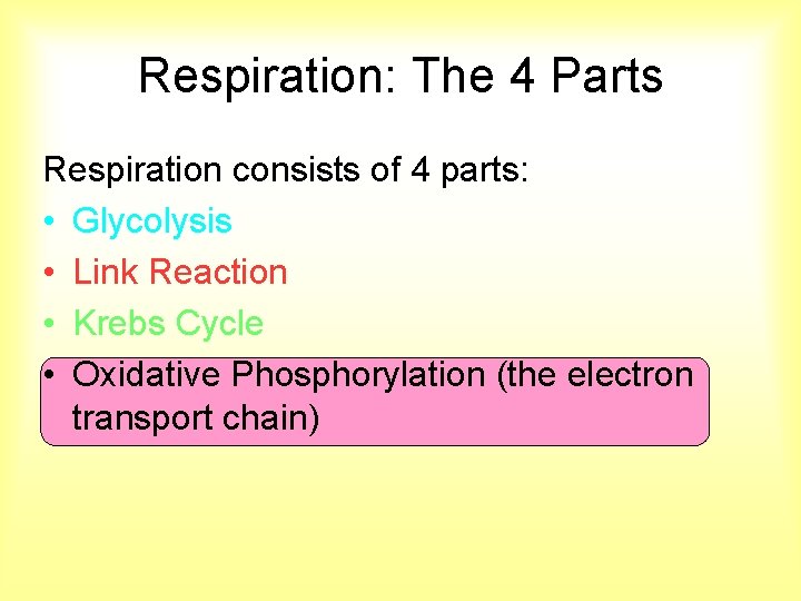 Respiration: The 4 Parts Respiration consists of 4 parts: • Glycolysis • Link Reaction