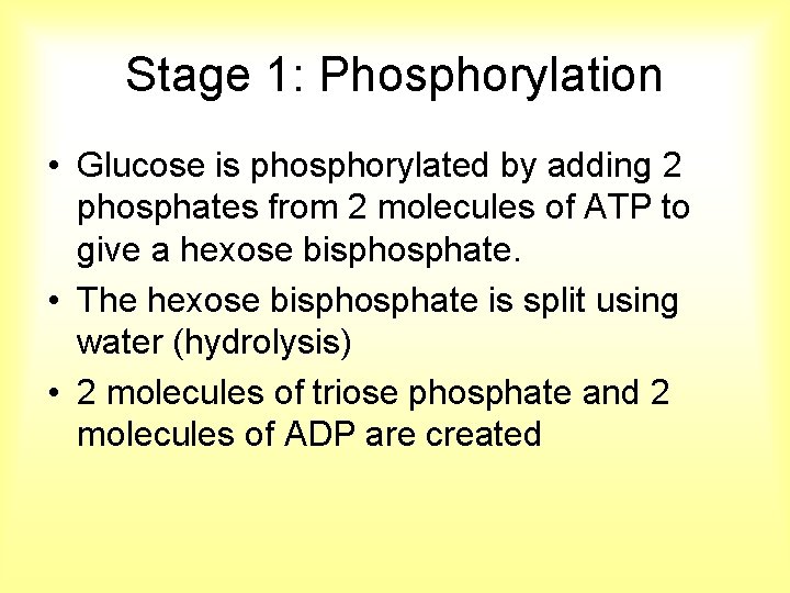 Stage 1: Phosphorylation • Glucose is phosphorylated by adding 2 phosphates from 2 molecules
