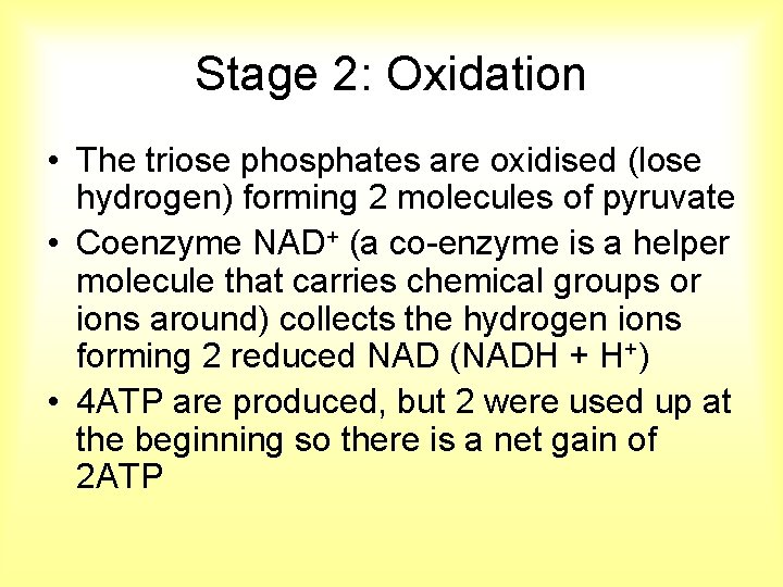 Stage 2: Oxidation • The triose phosphates are oxidised (lose hydrogen) forming 2 molecules