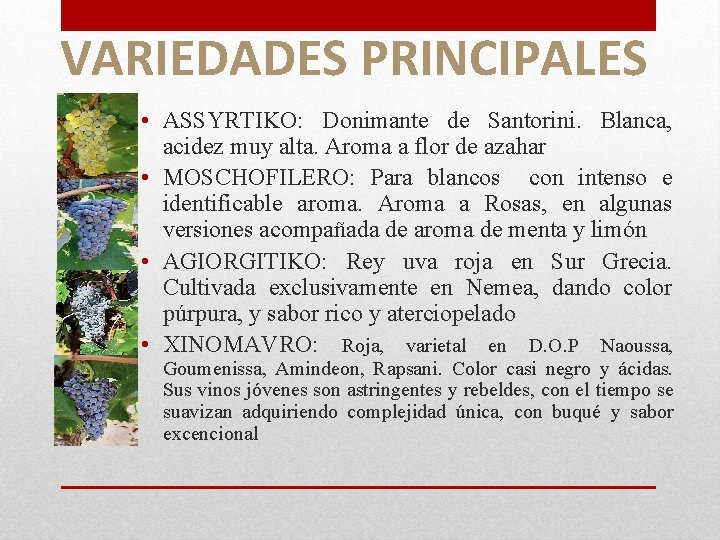 VARIEDADES PRINCIPALES • ASSYRTIKO: Donimante de Santorini. Blanca, acidez muy alta. Aroma a flor VARIEDADES PRINCIPALES • ASSYRTIKO: Donimante de Santorini. Blanca, acidez muy alta. Aroma a flor