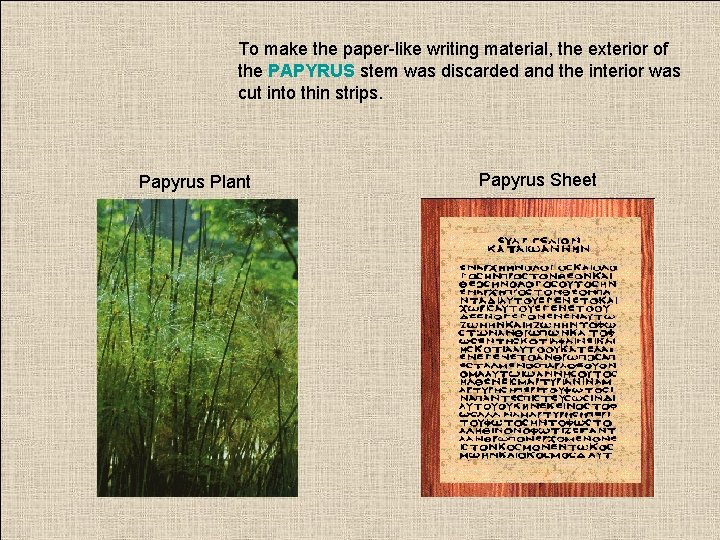 To make the paper-like writing material, the exterior of the PAPYRUS stem was discarded