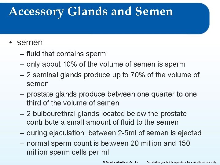 Accessory Glands and Semen • semen – fluid that contains sperm – only about Accessory Glands and Semen • semen – fluid that contains sperm – only about