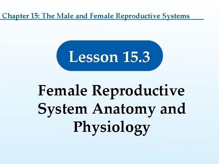 Chapter 15: The Male and Female Reproductive Systems Lesson 15. 3 Female Reproductive System Chapter 15: The Male and Female Reproductive Systems Lesson 15. 3 Female Reproductive System
