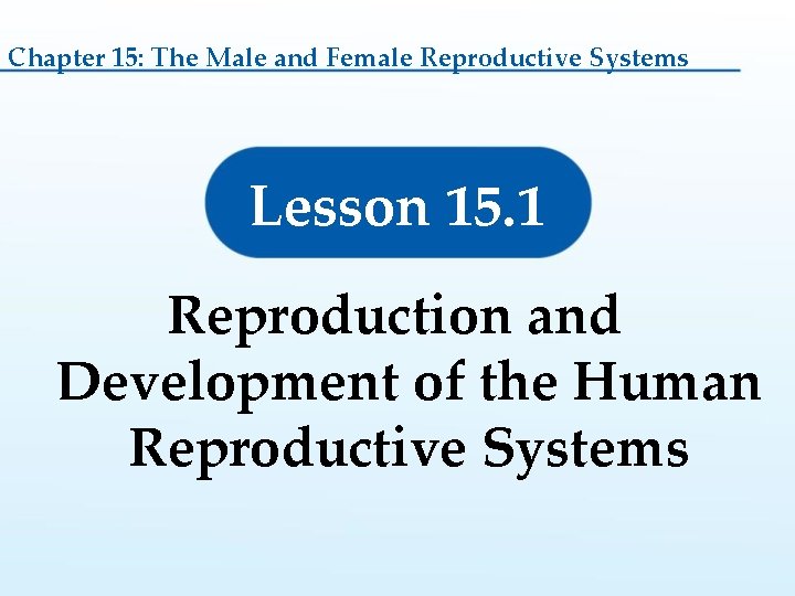 Chapter 15: The Male and Female Reproductive Systems Lesson 15. 1 Reproduction and Development Chapter 15: The Male and Female Reproductive Systems Lesson 15. 1 Reproduction and Development
