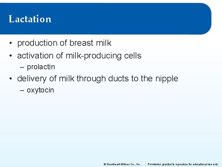 Lactation • production of breast milk • activation of milk-producing cells – prolactin • Lactation • production of breast milk • activation of milk-producing cells – prolactin •