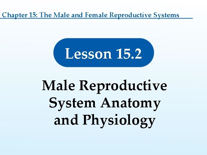 Chapter 15: The Male and Female Reproductive Systems Lesson 15. 2 Male Reproductive System Chapter 15: The Male and Female Reproductive Systems Lesson 15. 2 Male Reproductive System