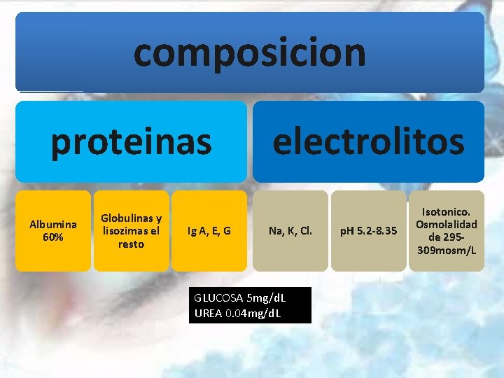 composicion proteinas Albumina 60% Globulinas y lisozimas el resto Ig A, E, G electrolitos
