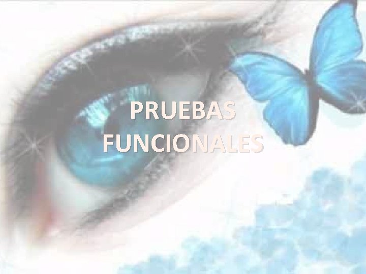 PRUEBAS FUNCIONALES 