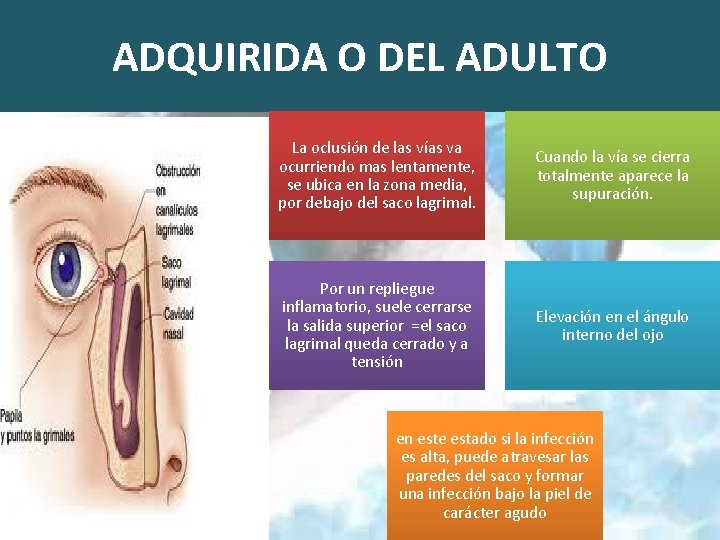 ADQUIRIDA O DEL ADULTO La oclusión de las vías va ocurriendo mas lentamente, se