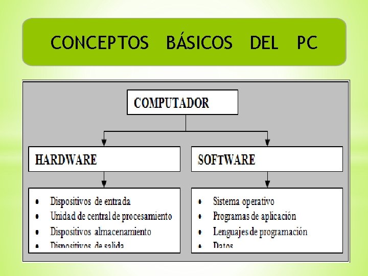 CONCEPTOS BÁSICOS DEL PC 