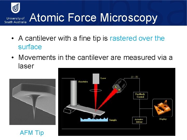 Atomic Force Microscopy • A cantilever with a fine tip is rastered over the
