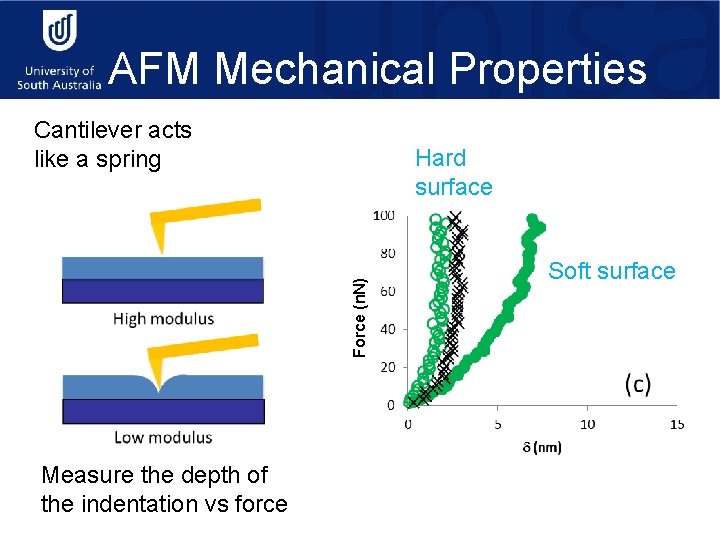 AFM Mechanical Properties Cantilever acts like a spring Force (n. N) Hard surface Measure