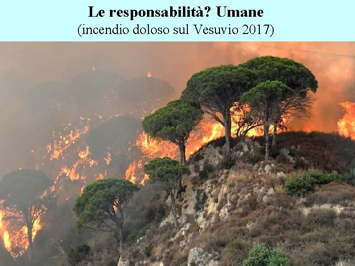 Le responsabilità? Umane (incendio doloso sul Vesuvio 2017) 