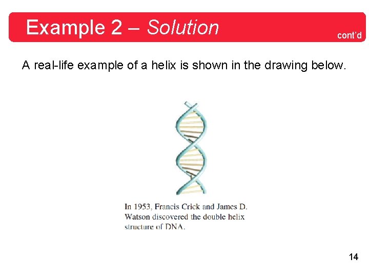 Example 2 – Solution cont’d A real-life example of a helix is shown in