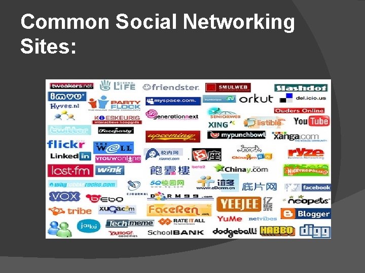 Common Social Networking Sites: 