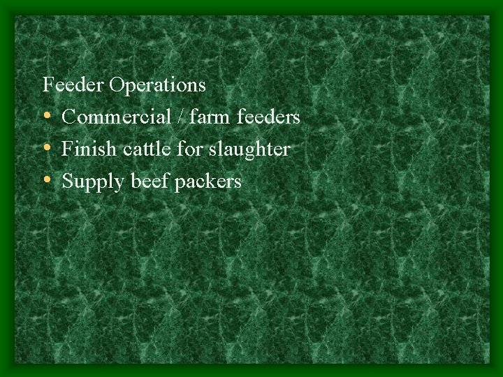 Stocker Operations BEEF Cattle Bovine Production Food Safety StructureCuts Nutrition