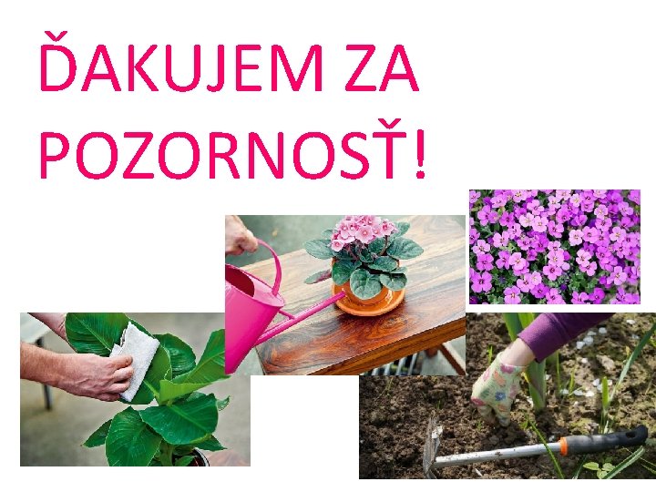 ĎAKUJEM ZA POZORNOSŤ! 