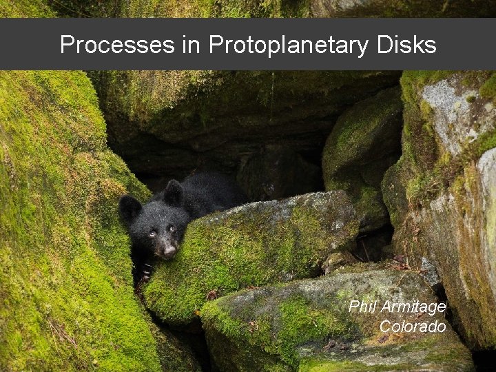 Processes in Protoplanetary Disks Phil Armitage Colorado 