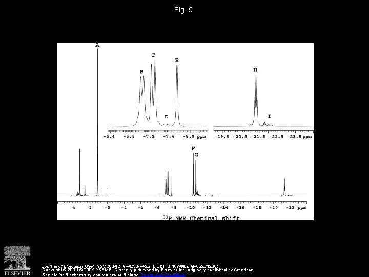 Fig. 5 Journal of Biological Chemistry 2004 27944250 -44257 DOI: (10. 1074/jbc. M 406261200)