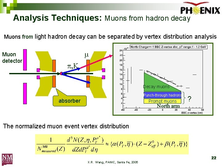 Analysis Techniques: Muons from hadron decay Muons from light hadron decay can be separated