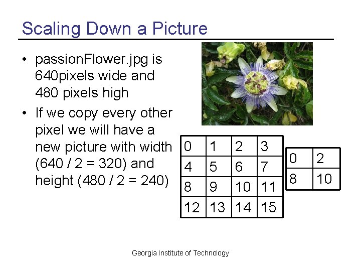 Scaling Down a Picture • passion. Flower. jpg is 640 pixels wide and 480 Scaling Down a Picture • passion. Flower. jpg is 640 pixels wide and 480