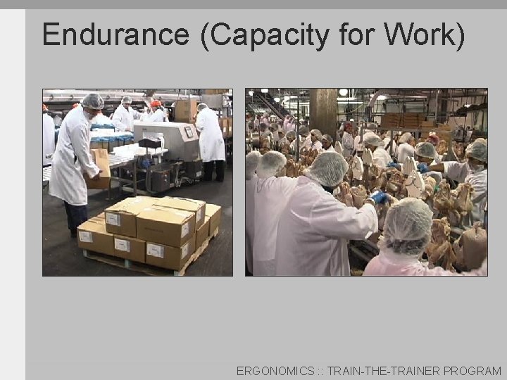 Endurance (Capacity for Work) ERGONOMICS : : TRAIN-THE-TRAINER PROGRAM 