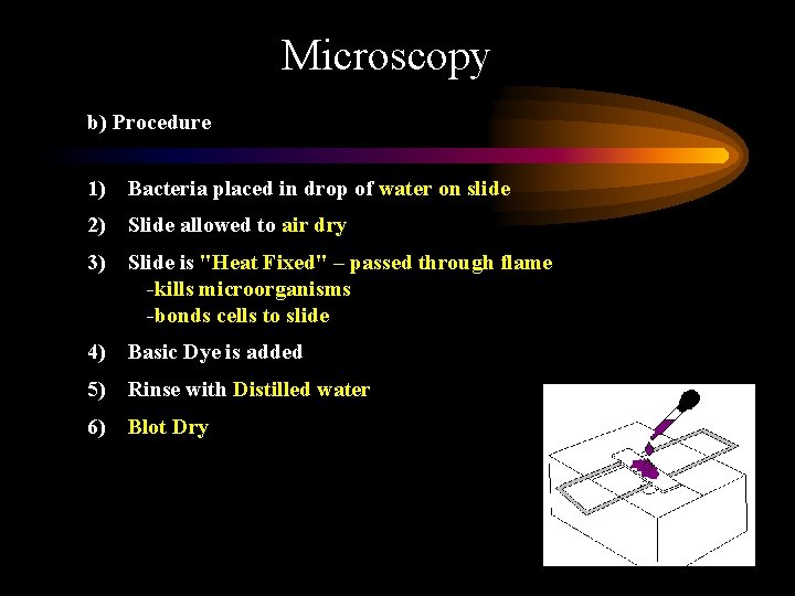 Microscopy b) Procedure 1) Bacteria placed in drop of water on slide 2) Slide