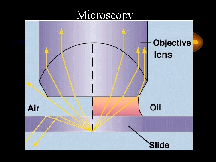 Microscopy 