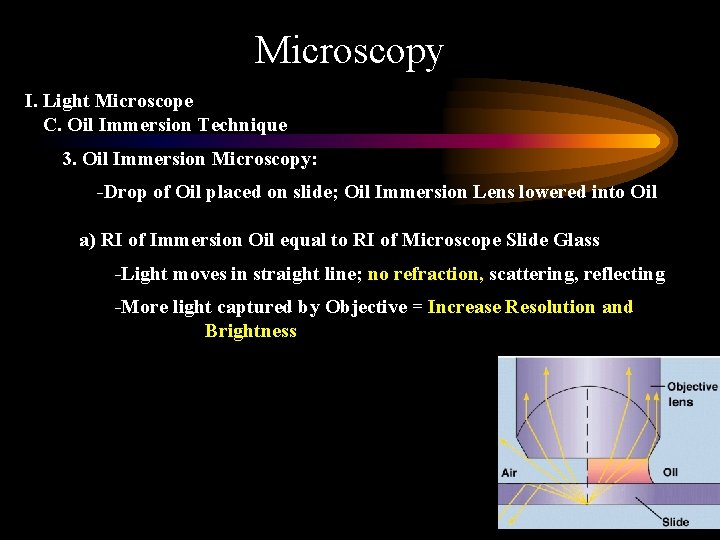 Microscopy I. Light Microscope C. Oil Immersion Technique 3. Oil Immersion Microscopy: -Drop of