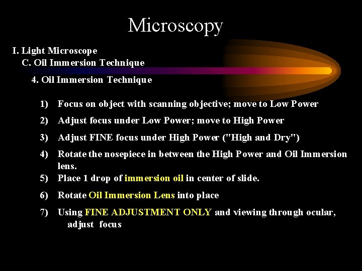 Microscopy I. Light Microscope C. Oil Immersion Technique 4. Oil Immersion Technique 1) Focus
