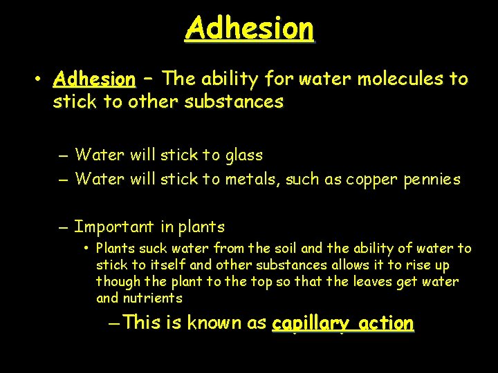 Adhesion • Adhesion – The ability for water molecules to stick to other substances