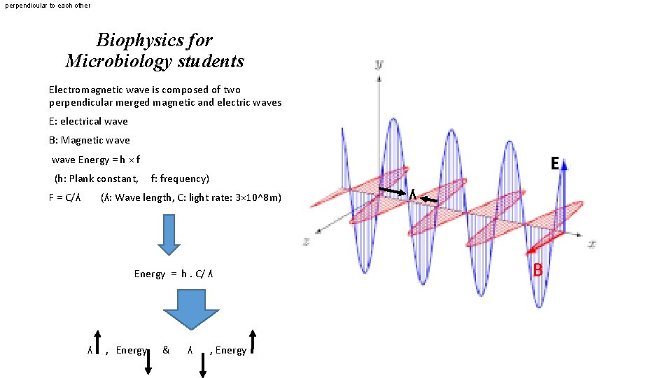 perpendicular to each other Biophysics for Microbiology students Electromagnetic wave is composed of two