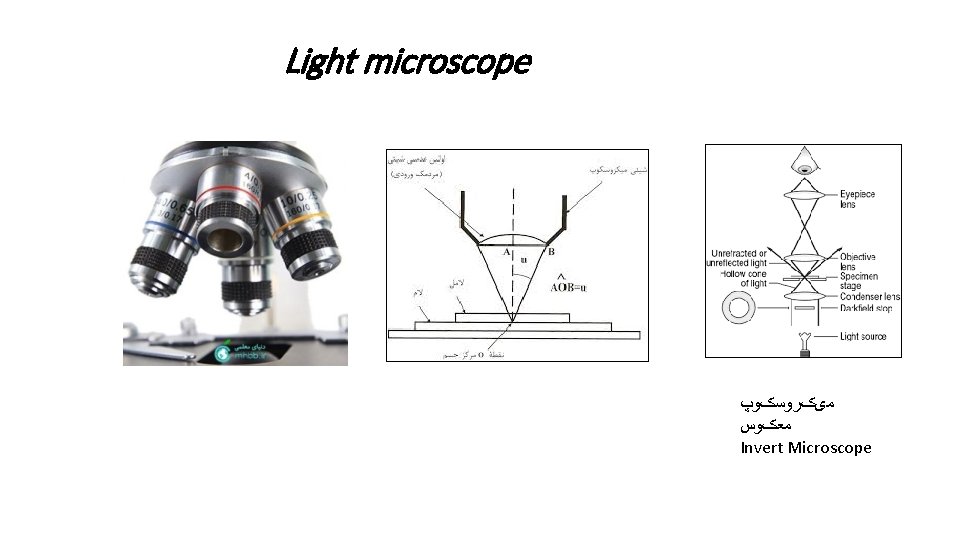 Light microscope ﻣیکﺮﻭﺳکﻮپ ﻣﻌکﻮﺱ Invert Microscope 