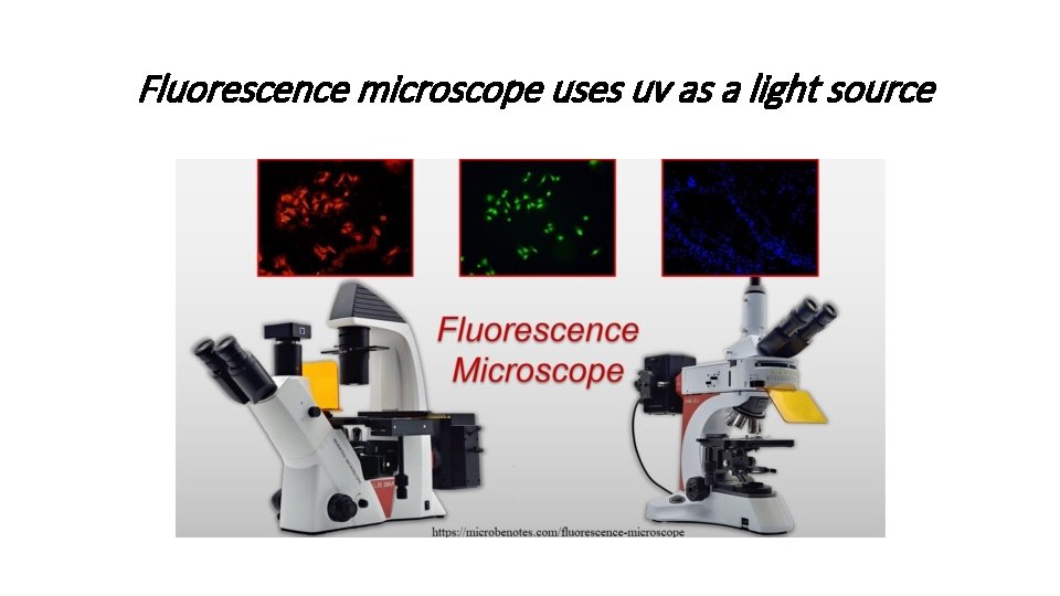 Fluorescence microscope uses uv as a light source 