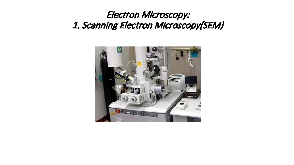 Electron Microscopy: 1. Scanning Electron Microscopy(SEM) 