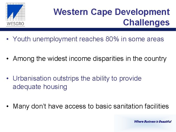 Western Cape Development Challenges • Youth unemployment reaches 80% in some areas • Among