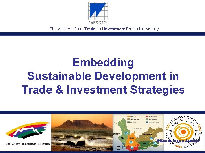 The Western Cape Trade and Investment Promotion Agency Embedding Sustainable Development in Trade &