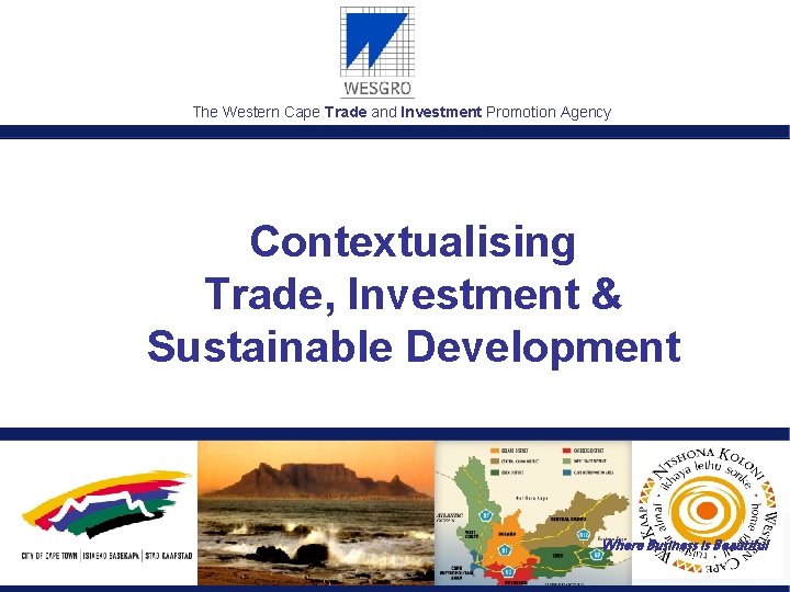 The Western Cape Trade and Investment Promotion Agency Contextualising Trade, Investment & Sustainable Development