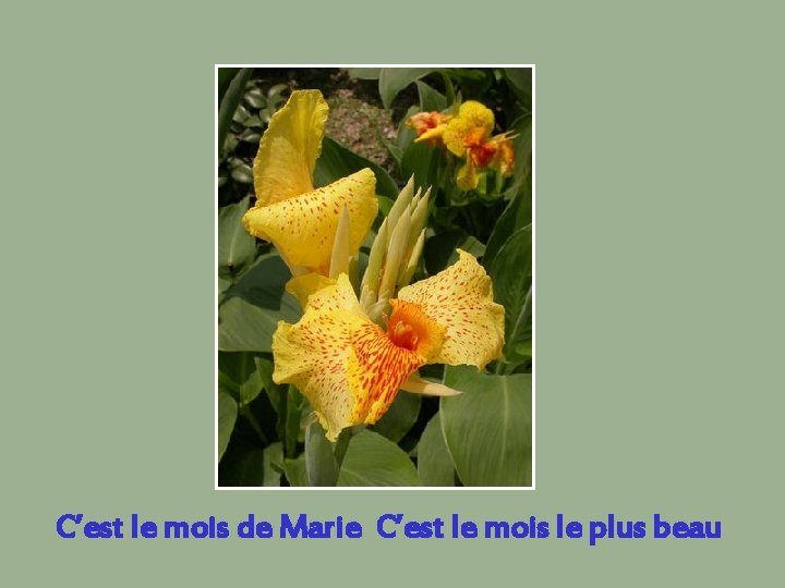 C’est le mois de Marie C’est le mois le plus beau 