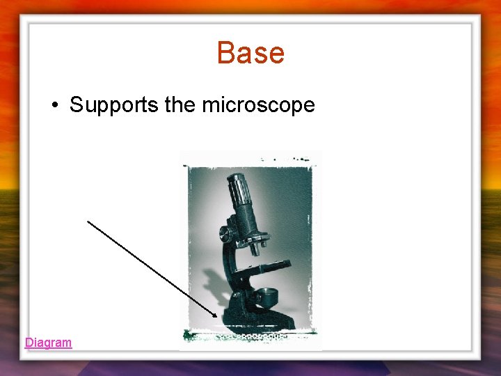 Base • Supports the microscope Diagram 