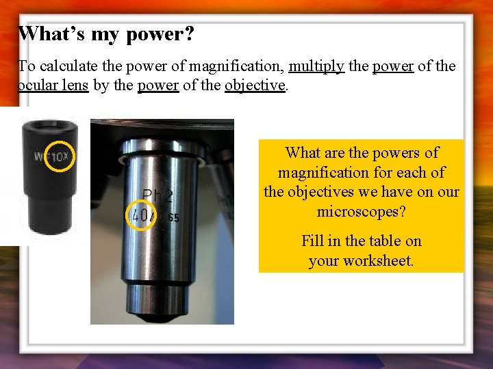 What’s my power? To calculate the power of magnification, multiply the power of the