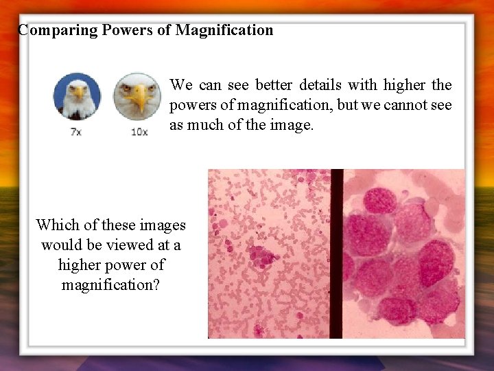 Comparing Powers of Magnification We can see better details with higher the powers of