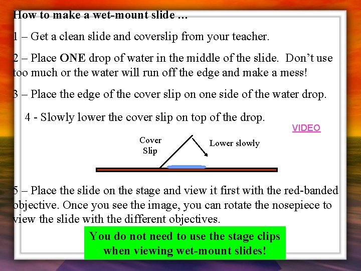 How to make a wet-mount slide … 1 – Get a clean slide and