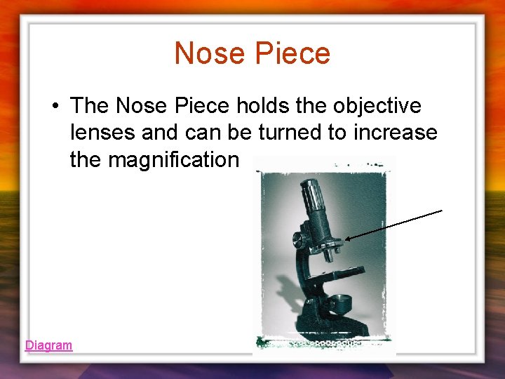 Nose Piece • The Nose Piece holds the objective lenses and can be turned