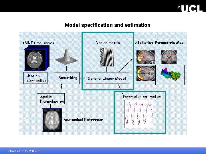 Model specification and estimation Introduction to Mf. D 2013 